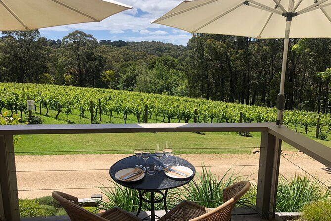 Private Mornington Wine Tour Small Group - Who Should Consider This Tour?