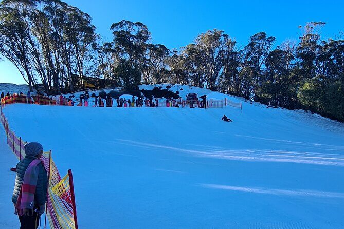 Private Mount Buller Snow and Ski Tour from Melbourne - Who Is This Tour Best For?