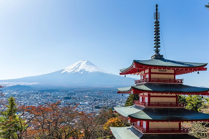 Private Mount Fuji and Hakone City Tour From Tokyo - Tour Highlights: Hakone City