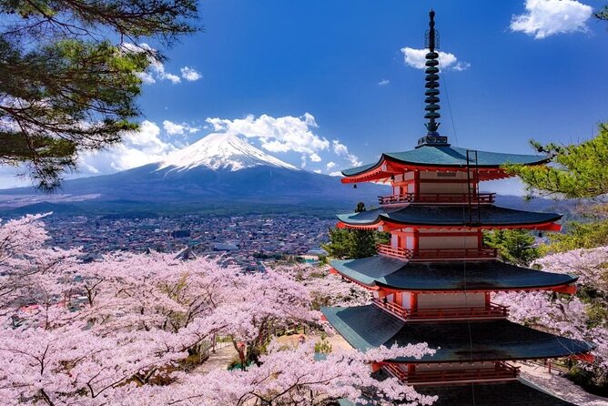 Private Mount Fuji and Hakone One Day Tour - Preparing for the Tour