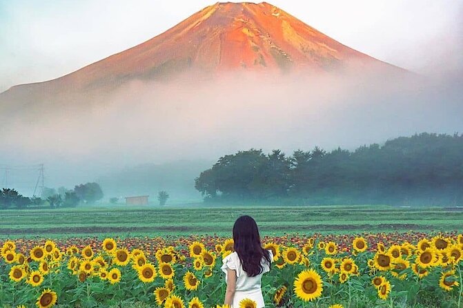 Private Mount Fuji and Hakone Sightseeing Day Trip With Guide - Accessibility Features