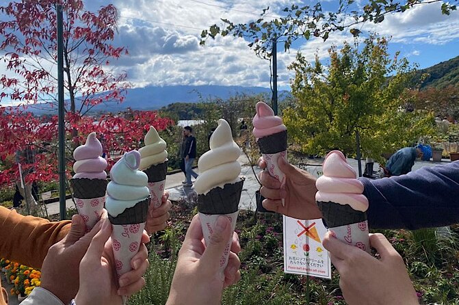 Private Mount Fuji and Hakone Sightseeing Day Trip With Guide - Tour Highlights