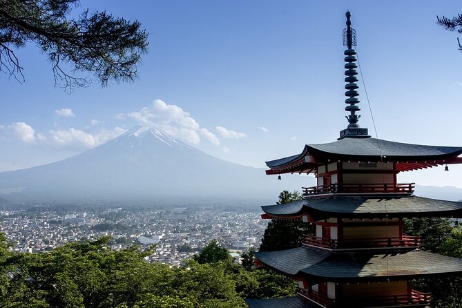 Private Mount Fuji Tour - up to 9 Travelers - Itinerary Flexibility