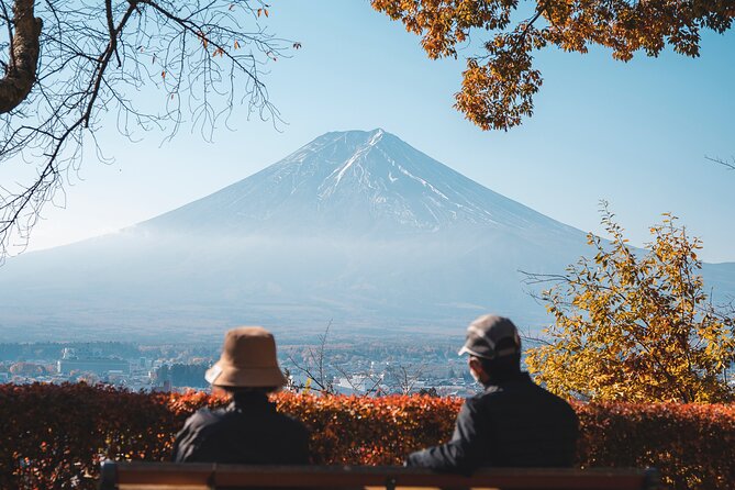 Private Mt Fuji, Hakone and Tokyo Tour-English Speaking Chauffeur - Meeting and Pickup