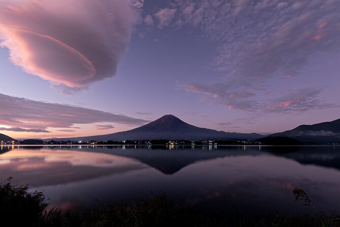 Private Mt Fuji, Hakone and Tokyo Tour-English Speaking Chauffeur - Group Size and Additional Services