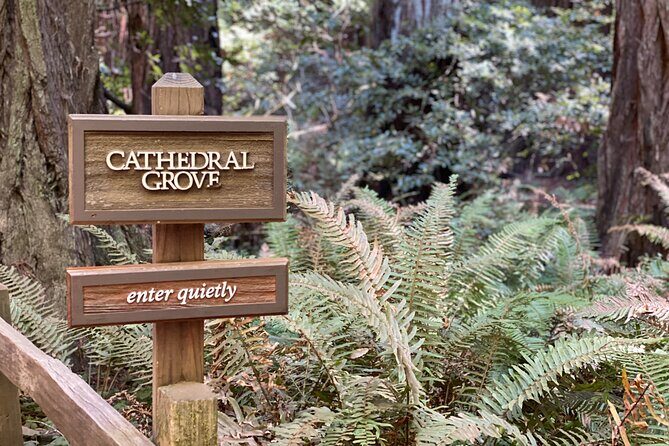 Private Muir Woods Tour Via Luxury Tesla - Key Points