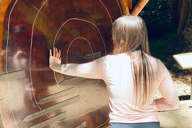 Private Muir Woods Tour Via Luxury Tesla - The Itinerary in Detail