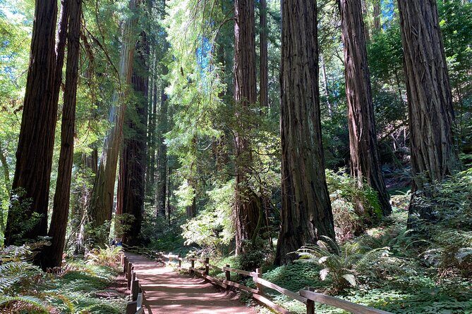 Private Muir Woods Tour Via Luxury Tesla - Frequently Asked Questions