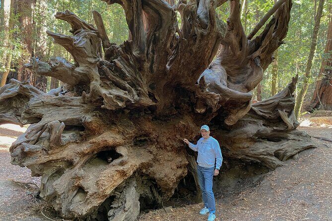 Private Muir Woods Tour Via Luxury Tesla - Final Word