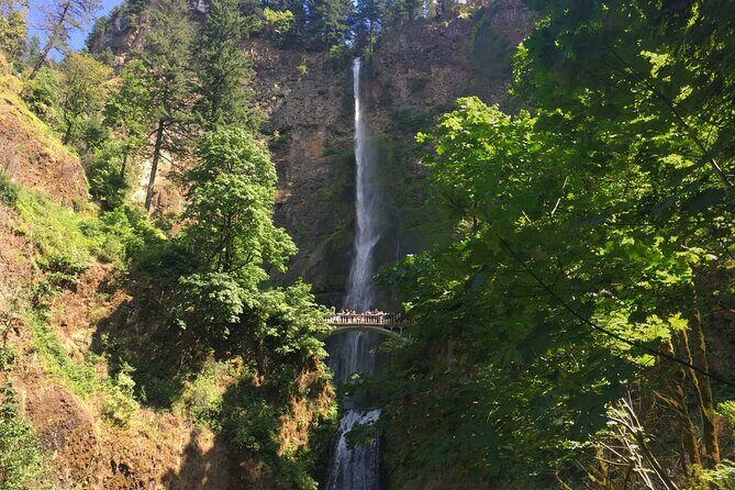 Private Multnomah Falls and Mt. Hood Tour with Gorge Waterfalls - Key Points