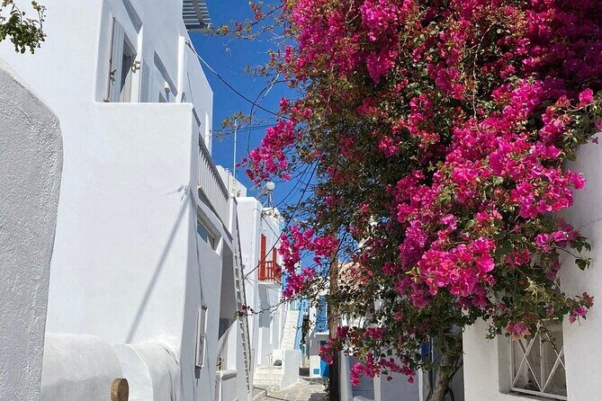 Private Mykonos Town Walking Tour And Islands Highlights - A Closer Look at the Itinerary