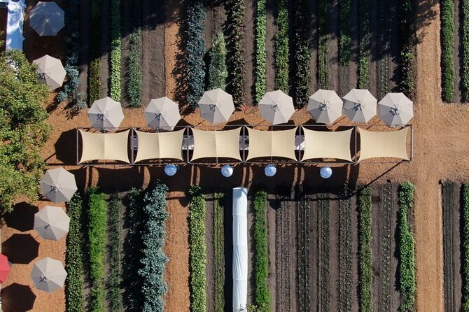 Private Napa Wine Tour Review: A Memorable Experience - Booking Flexibility and Accessibility