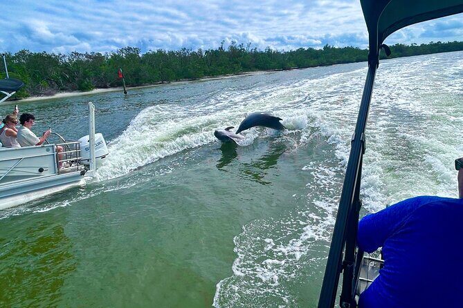 Private Naples Dolphin Watching with breakfast at Port Royal - FAQ