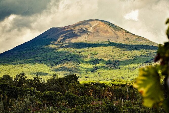 Private Natural Wine Tasting Tour, Lunch, Sommelier and Transfer. - Convenient Transportation