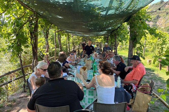 Private Natural Wine Tasting Tour, Lunch, Sommelier and Transfer. - Visual Insights