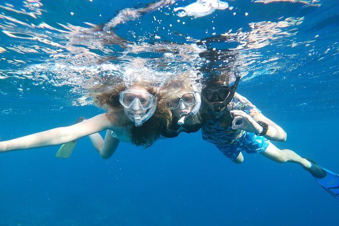 Private nature tour: Aruban mangrove forest & pristine coral reef - The Sum Up