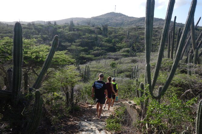 Private nature tour: Aruba's highest point & pristine coral reef - An In-Depth Look at the Aruba Nature Tour