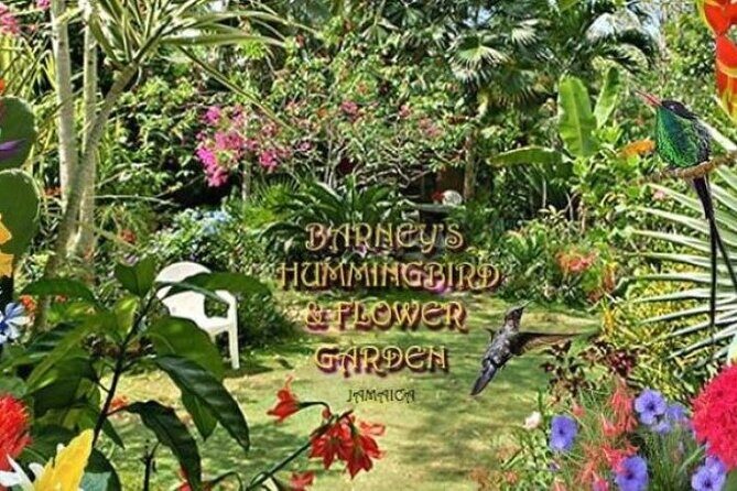 Private Negril Highlights Tour - Transportation and Practical Considerations