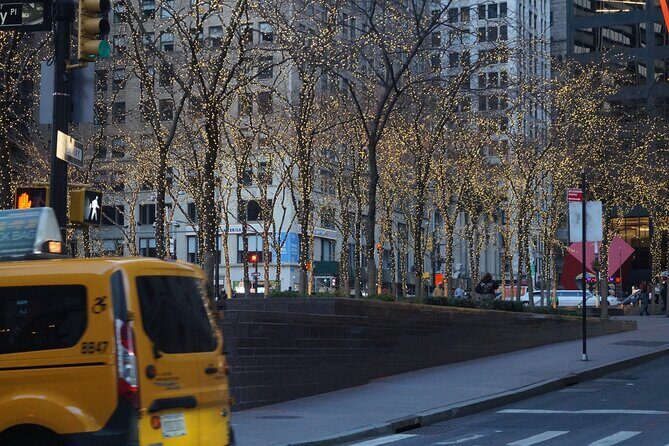 Private New York Downtown Highlights Half Day Tour - Who Should Consider This Tour?