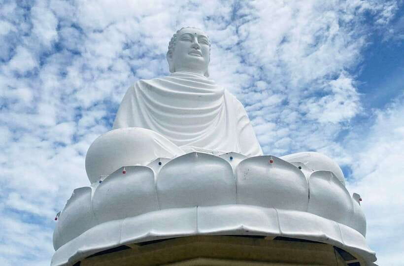 Private Nha Trang City Tour ( Half Day Program) - What to Expect