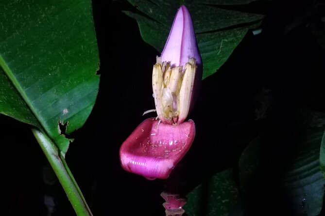Private Night Observation Hike - About Your Stay