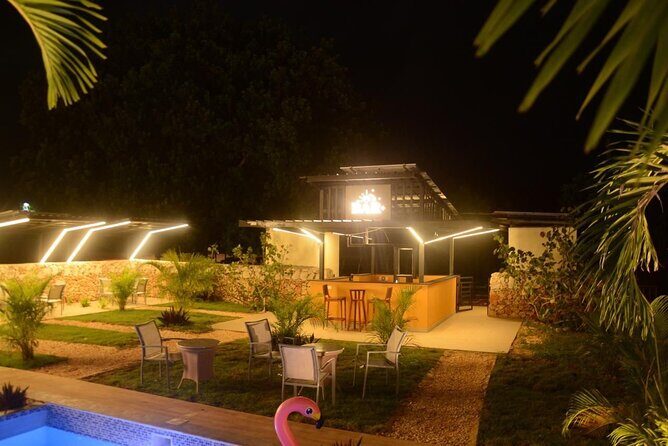 Private Night Tour in Buggy with Party in Punta Cana - An Adventure-Filled Night in Punta Cana