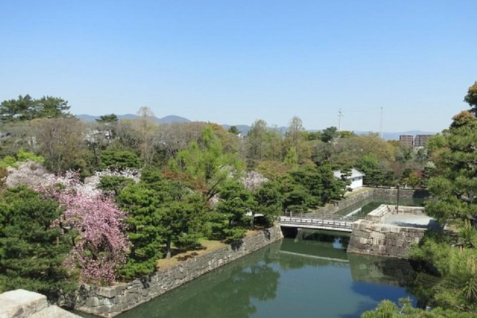 Private Nijo Castle Sightseeing and Nishiki Food Tour - Guest Review Insights