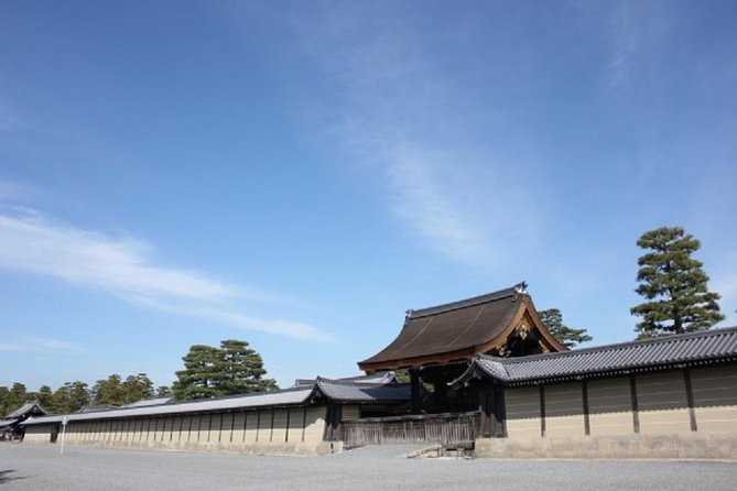 Private Nijo Castle Sightseeing and Nishiki Food Tour - Experience Highlights