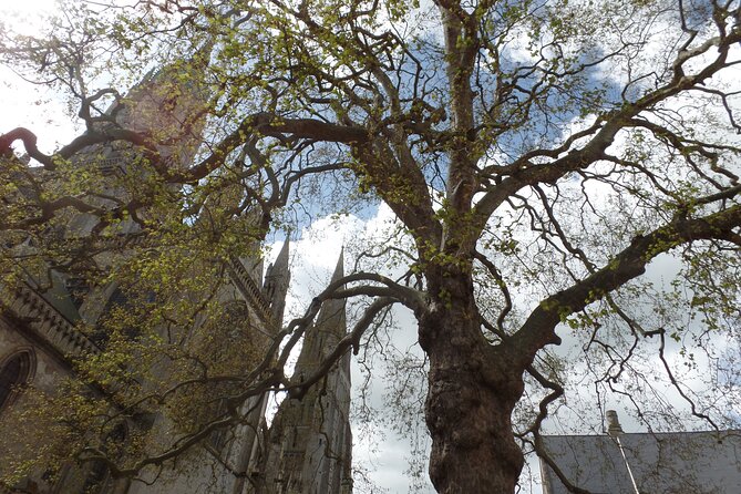 Private Normandy Tour of Bayeux, Gold Beach & Atlantic Wall - Bayeux Tapestry