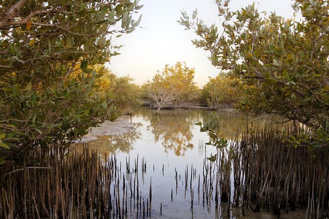 Private North of Qatar: Zubara Fort | Jumail Village | Al-Thakhira Mangroves - Discovering Al Zubara Fort