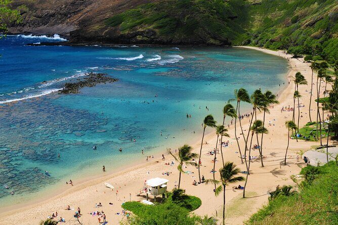 Private North Shore and Polynesian Culture Day Trip in Oahu - Exploring Oahu’s North Shore and Polynesian Cultures: A Practical Review