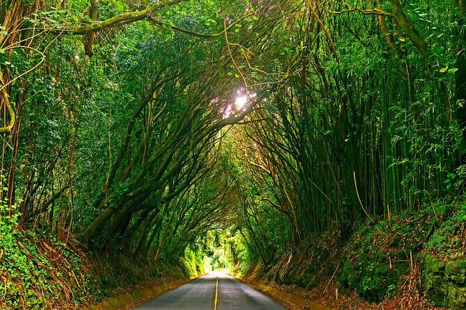 Private North Shore and Polynesian Culture Day Trip in Oahu - Frequently Asked Questions