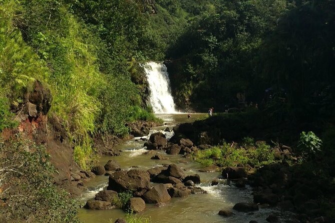 Private North Shore Waterfalls and Turtles Tour - Meeting and Pickup Details