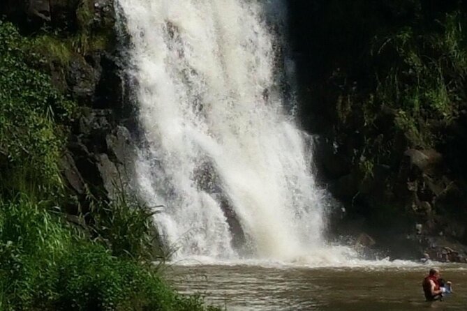 Private North Shore Waterfalls and Turtles Tour - Tips for a Great Experience