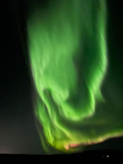 Private Northern Light Tour in Iceland - Customer Testimonials