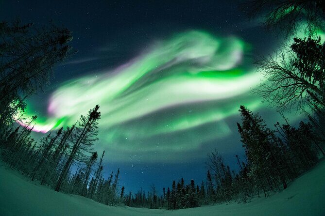Private Northern Lights Photography Tour in Fairbanks, Alaska - The Sum Up