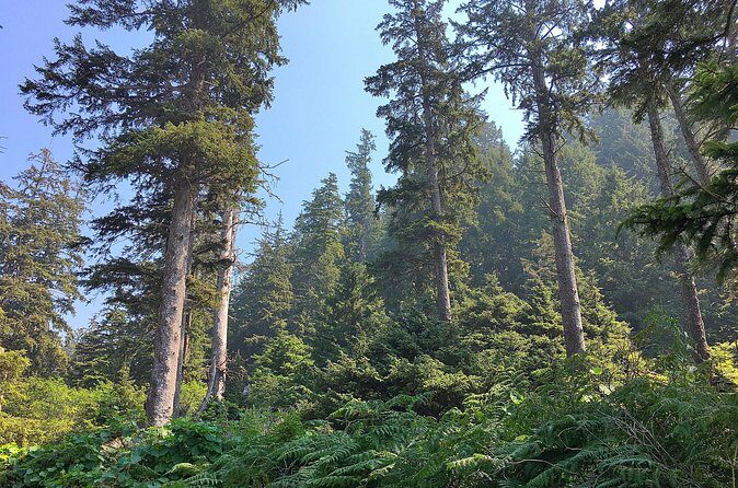 Private Northern Oregon Coast Tour - Final Thoughts