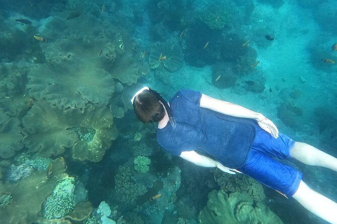 Private Nusa Penida Snorkeling Tour - Additional Details