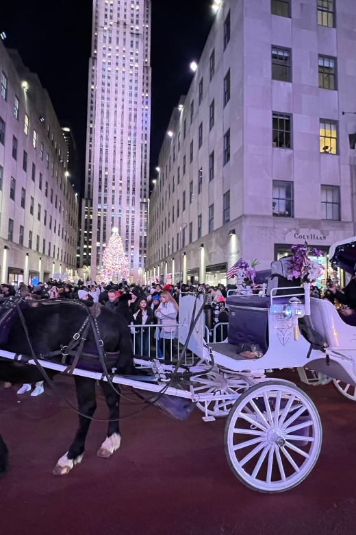 Private NYC Lights or Christmas Lights Horse Carriage Tour - Pricing Information