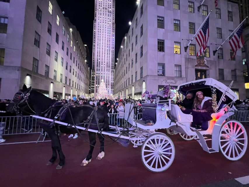 Private NYC Lights or Christmas Lights Horse Carriage Tour - Tour Duration
