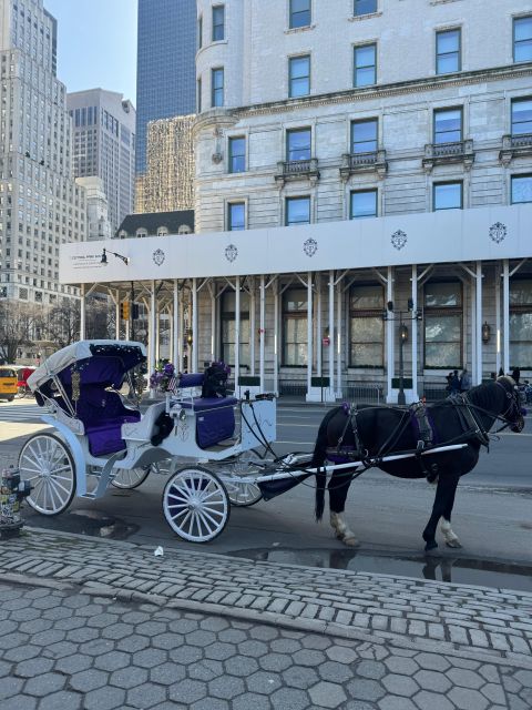Private NYC Lights or Christmas Lights Horse Carriage Tour - Frequently Asked Questions