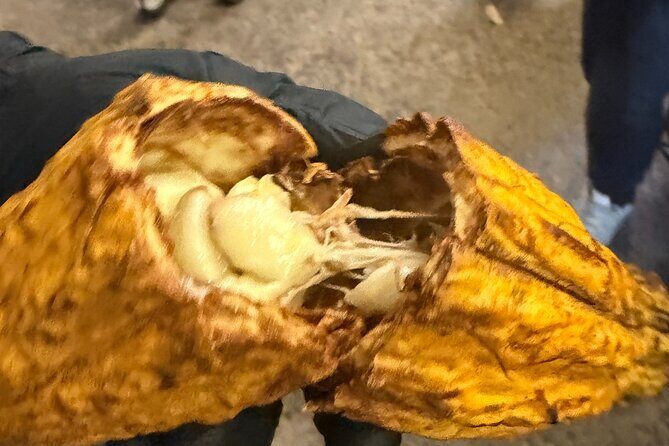 Private O'ahu Island Tour Waimea Waterfalls and Local Delights - Overall Value and Suitability