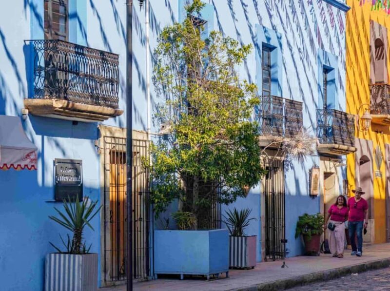 Private Oaxaca Walking Tour with Mezcal Tasting - Frequently Asked Questions