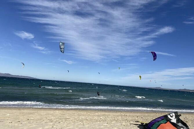 Private Ocean Safari in La Ventana: Marine Wildlife Experience - Who Should Consider This Tour?