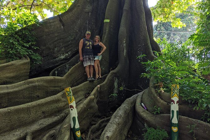 Private Ocho Rios highlight tour - Who Should Consider This Tour?