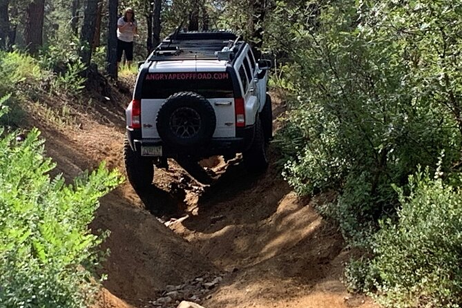 Private Off Road Adventure Tours in the Prescott National Forest - What to Expect on the Tour