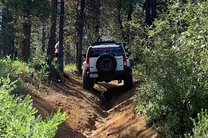 Private Off Road Adventure Tours in the Prescott National Forest - Pricing and Booking Information
