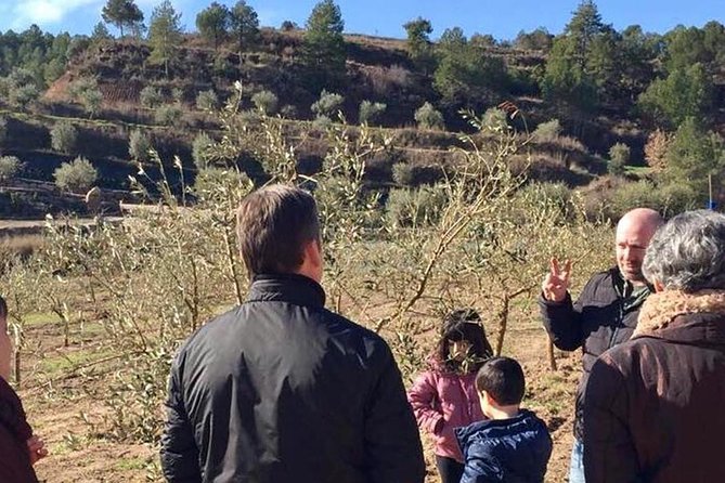 Private Oil Tasting Tour - Organic Catalan Delicacies