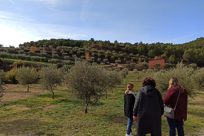 Private Oil Tasting Tour - Traveler Photos Showcase