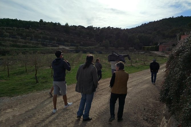 Private Oil Tasting Tour - Exceptional Customer Reviews